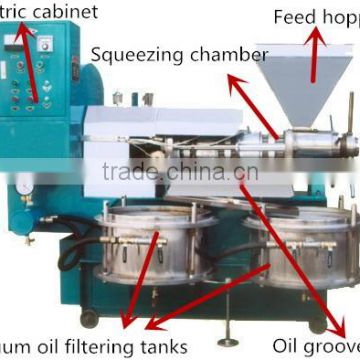 Factory price moringa oil extraction machine screw extractor