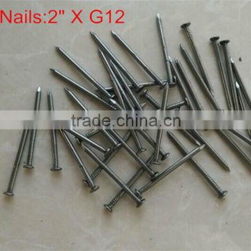 factory on hot sale manufacturer common nail Galvanized nail