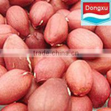 fair trade groundnut/peanut kernels
