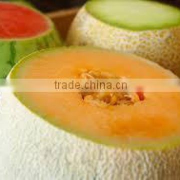 Sweet Fresh Melon Seed in Viet Nam For Healthy