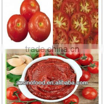 400g Hot Selling Tomato Paste for Canned Metal Tins