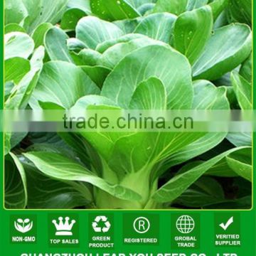 NPK07 Taoyu Quality pak choi seeds for agricultural
