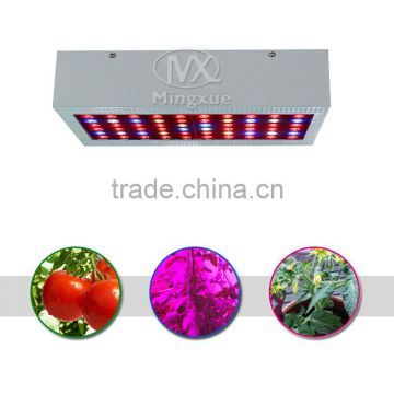 300W Full Spectrum LED Grow Light Panel For Greenhouse Indoor Plants