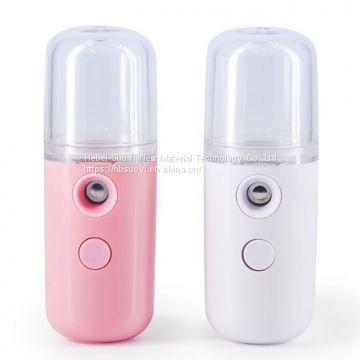 2020 New Face Skin Care Pocket Mini Portable Handy Facial Beauty Nano Mist Sanitizer Sprayer