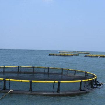 Deep Water Cage Hdpe Material Cage Fish Farming