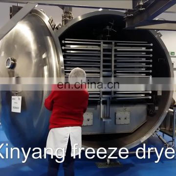 Industrial Freeze Drying Machine - Freeze Dryer