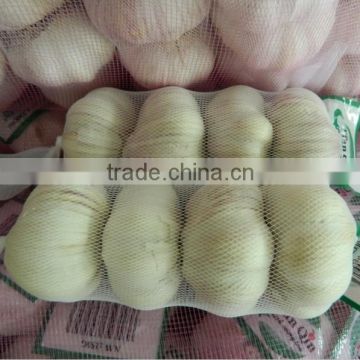 2016 fresh garlic 3P 4P 5P packing