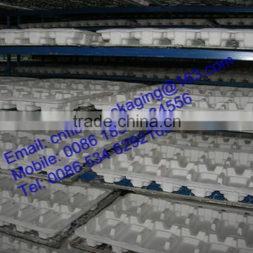 Hot sale Eco-friendly paper pulp tray factory