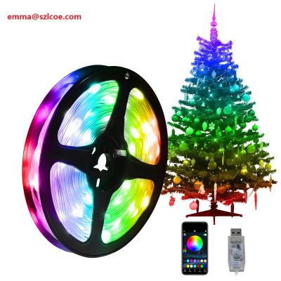 Factory price Full Color USB Waterproof Christmas Light WS2812B RGB Full Color Addressable Led Fairy String Light Kit