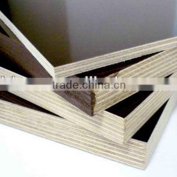 Poplar, eucalyprus, birch, larch, pine core Film faced Plywood,Construction Plywood