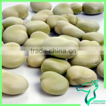 2016 Crop High Quality China Origin Broad Bean