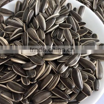Hulled sunflower seeds for human consumption