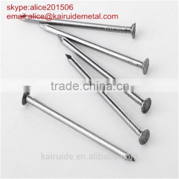 common wire nail/competitive price iron nail factory