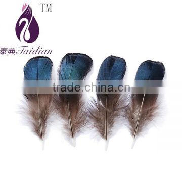 DIY accesoried feathers,blue pheasant tail feathers