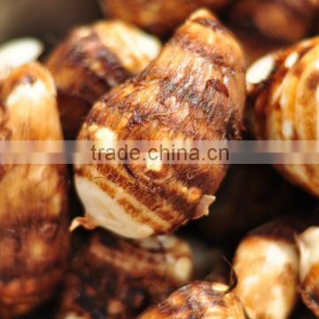 chinese cheap taro wholesale