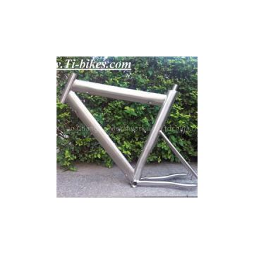 Titanium TT/ Blade Bike Frame