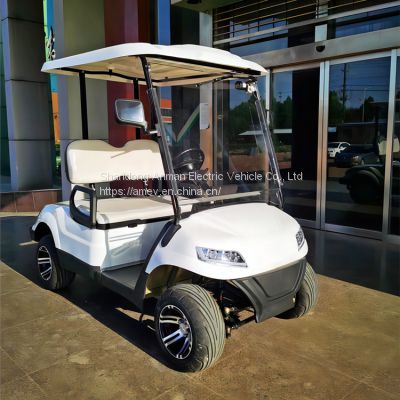 High quality 2-seat electric golf cart Battery club car