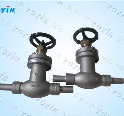 Enhanced double stop valve WJ50F1.6P Bakreshwar power