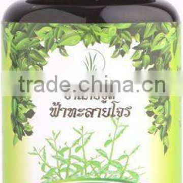 Competitive Price Andrographis Thai Herb Medicine