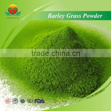Best selling Barley Grass Powder 100% pass 80,120,200 mesh