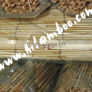 Natural Woven Reed Fence