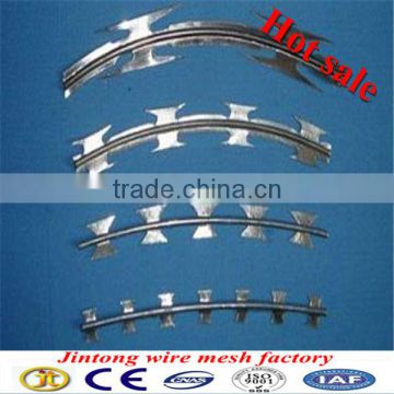 JT factory reinforcing welded wire mesh / good qualtiy hot dippe galvazid welded wire mesh