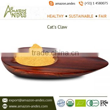 Hot Selling Natural Cat's Claw Powder at Low Affordable Price