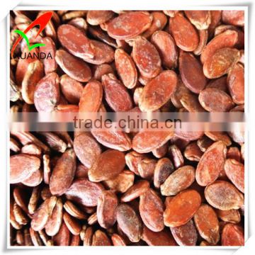 red watermelon seeds by Factory Directly