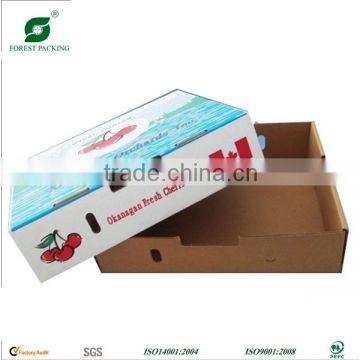 TOMATO PACKING BOXES FP801580