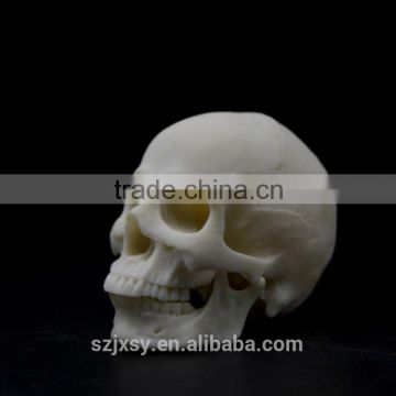transparent mexican skull for wholesale