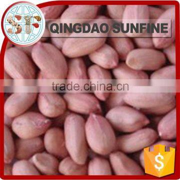 Price of raw peanut seed kernel