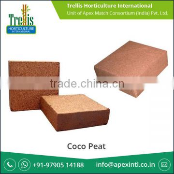 Long Lasting Factory Direct Sell Coco Peat Price