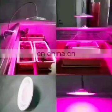 LED Grow Light Red Blue Indoor Plants Flowers Seedlings Growth Lighting