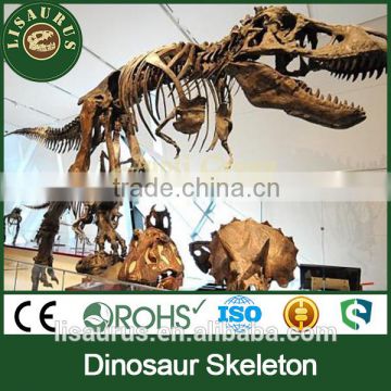 JLDF-0023 Dinopark Finding Dinosaur Fossil Games For Kids