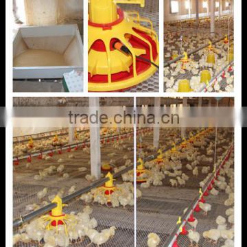 chicken automatic feeder direct selling by manufacturer