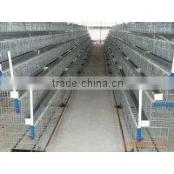 chicken house / chicken house design/ chicken farm from china supplier