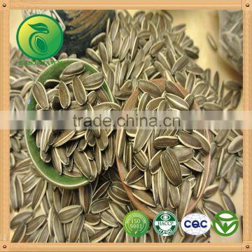 Chinese wholesale Sunflower Seeds with Good Quality 2015 New Crop 5009 363 0409