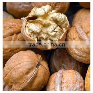 China walnuts in shell or kernel s ogood quality