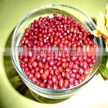 JSX organic adzuki beans for sale machine selected small red beans