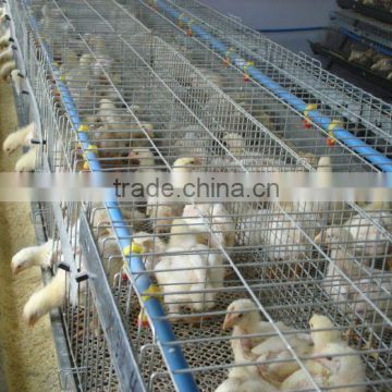 best quality chicken cage laying hens both for layers and broilers