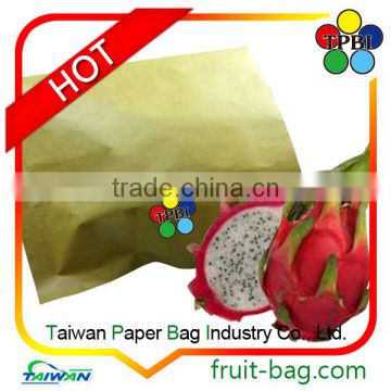 Taiwan factory UV protected paper bags for fruit grow pitaya