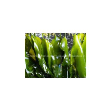 Laminaria japonica extract