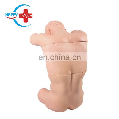 HC-S503 Clinical Training model, Chest and Back puncture training model  for sale