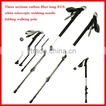 cheap popular three sections carbon fiber telescopic trekking pole nordic walking stick