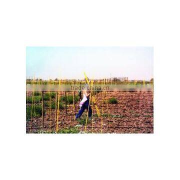 maintenance free cost effective insulated vineyard stake supplier