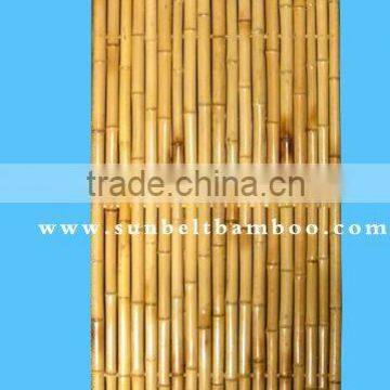 Bamboo fence Sun-004