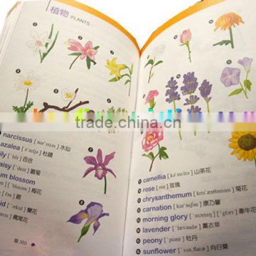 China high quality and coloring softcover educational books printing service
