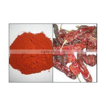 Paprika Powder 160ASTA