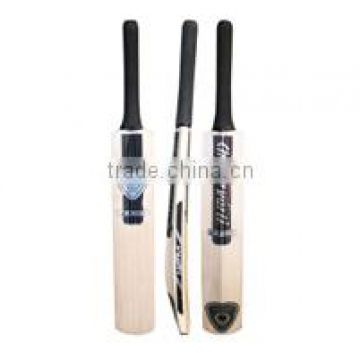 English Willow Cricket bat
