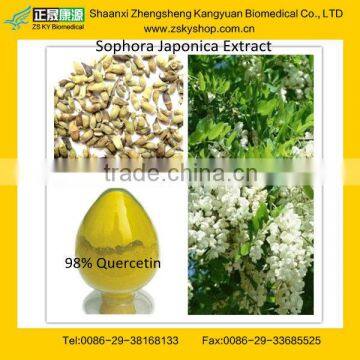 GMP manufacturer supply 100% natural and High quality Quercetin Extract powder